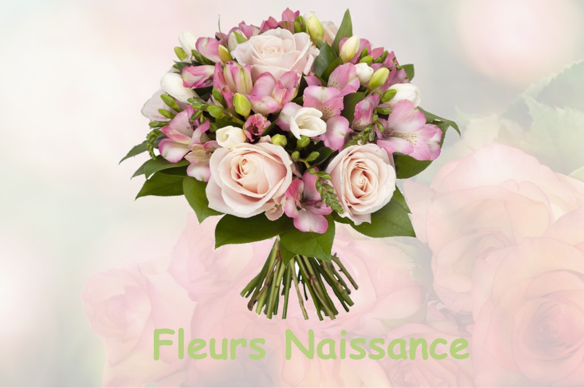 fleurs naissance SAINT-DENIS-DE-VAUX